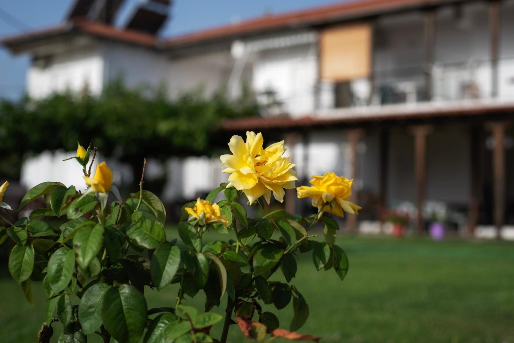Marilena Apartments Anastasiou Velika  Exterior photo